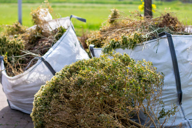 Best Household Junk Removal  in Muleshoe, TX